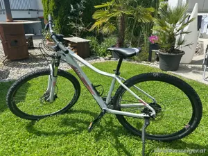 Cube Mountainbike Grau Rosa 2019