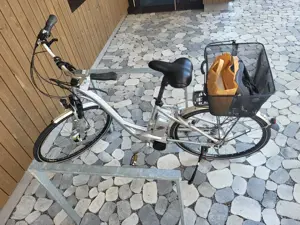 Altes E-Bike zu verkaufen Bild 2