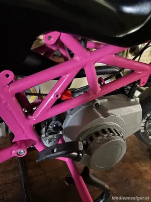 Pocket Bike Bild 4