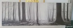 Bild (schwarz weiss)