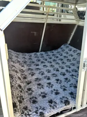Schmidt Hundebox  Bild 5
