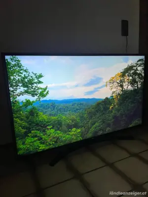 LG 55zoll 4K UltraHD Smart TV Bild 6