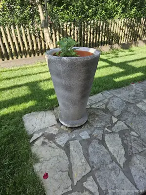 Blumen Beton Topf