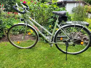 Simplon Damenfahrrad