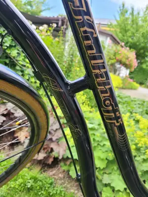 Kalkhoff Retro Damenfahrrad (Hollandrad) Bild 3