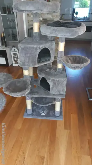 Katzenbaum