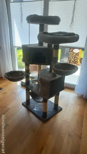 Katzenbaum Bild 3