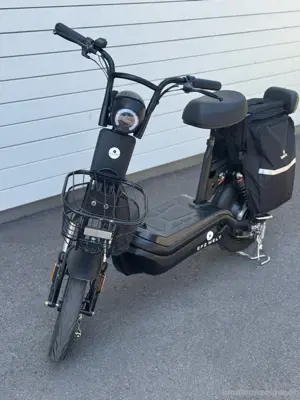 Elektroroller EB250S   Schwarz   fast neu