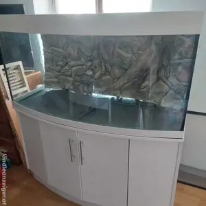 Aquarium Panorama