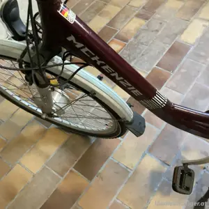 E Bike Mekenzie Bild 3