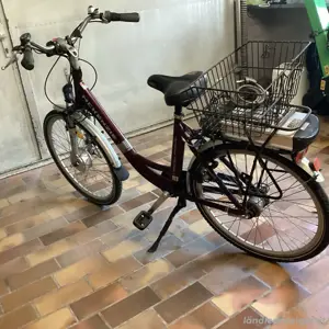 E Bike Mekenzie
