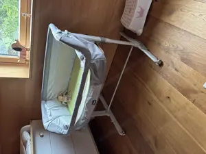 Baby Beistellbett Chicco mit Rollen Bild 2