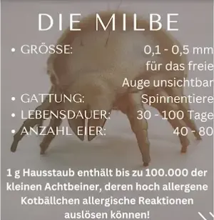 vergebe gratis Hyla Teppich- oder Couch Reinigung