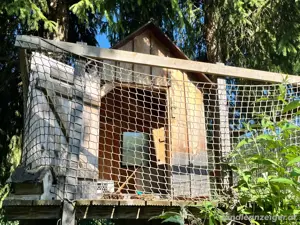 coole Baumhütte