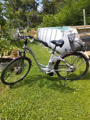 Flyer Fahrrad mit 2Akku