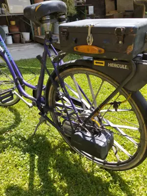 Hercules Saxonette