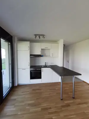1-Zimmer-Gartenwohnung in Gisingen zu vermieten Bild 2