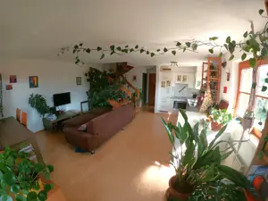 Lichtdurchflutete Maisonettewohnung mit Südbalkon in ruhiger Lage in Koblach nahe des Rheins Bild 2