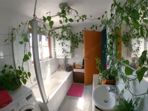 Lichtdurchflutete Maisonettewohnung mit Südbalkon in ruhiger Lage in Koblach nahe des Rheins Bild 4