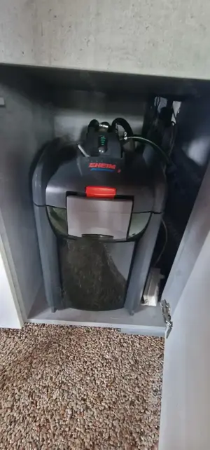 Aquarium mit gesamten Inhalt 165 breite 160 Höhe 60 Tiefe  Bild 6