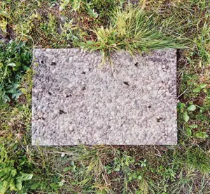 Waschbetonplatten Gratis Bild 5