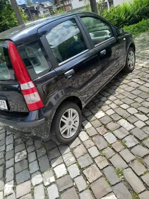 Fiat Panda Bild 3