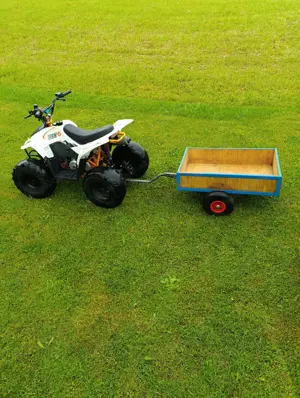 Kayo Fox 7 AY70 Kinderquad Bild 8