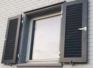 Alu Läden Typ 2B RAL 7024 von der Firma Blank