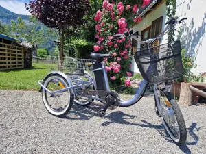 Eureka 20 Zoll Erwachsenen Dreirad E-Bike Bild 2