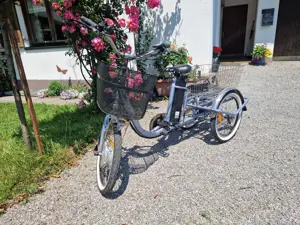 Eureka 20 Zoll Erwachsenen Dreirad E-Bike Bild 3