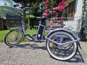 Eureka 20 Zoll Erwachsenen Dreirad E-Bike Bild 4