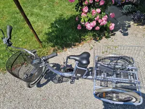 Eureka 20 Zoll Erwachsenen Dreirad E-Bike Bild 5