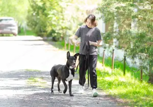 Junger Pluto such zuhause  Bild 10
