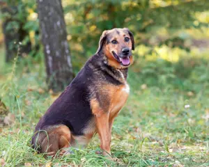 Elsa sucht ihre Familie Bild 8
