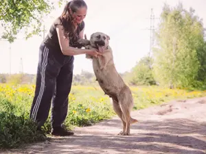 Wunderschöne Linda sucht  Bild 5