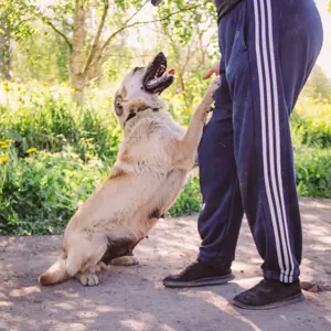 Wunderschöne Linda sucht  Bild 9