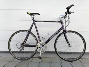 Principia Criterium 650