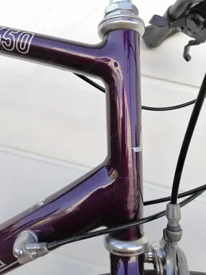Principia Criterium 650 Bild 8