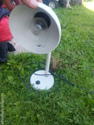 Tischlampe Lampe
