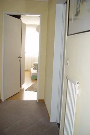 2,5-Zimmerwohnung mit verglastem Balkon, Bregenz Bild 4