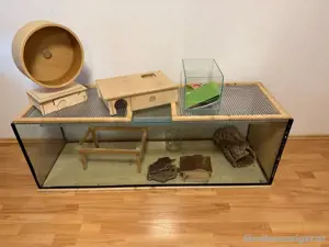 Terrarium  Bild 2