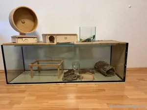 Terrarium 