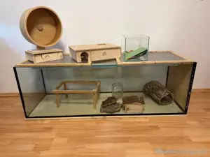 Terrarium  Bild 4