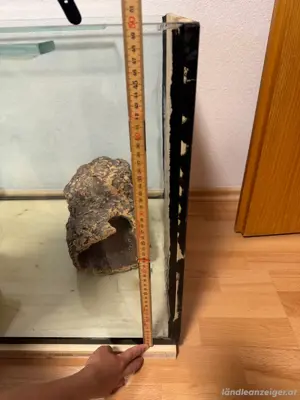 Terrarium  Bild 9