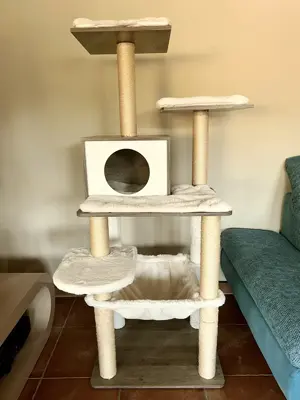 Katzenbaum