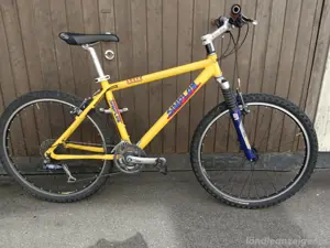 Mountainbike 