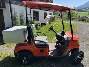 Golfwagen, Cart, NEU!!! Bild 2