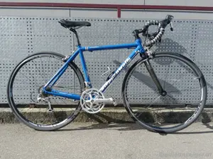 Rennrad Steppenwolf 