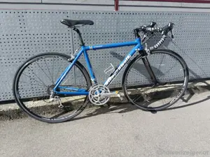 Rennrad Steppenwolf  Bild 3