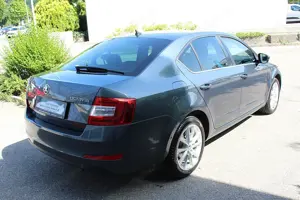 Skoda Octavia 2,0 TDi Style aus erster Hand Neu Vorgeführt 05 2026! Bild 4